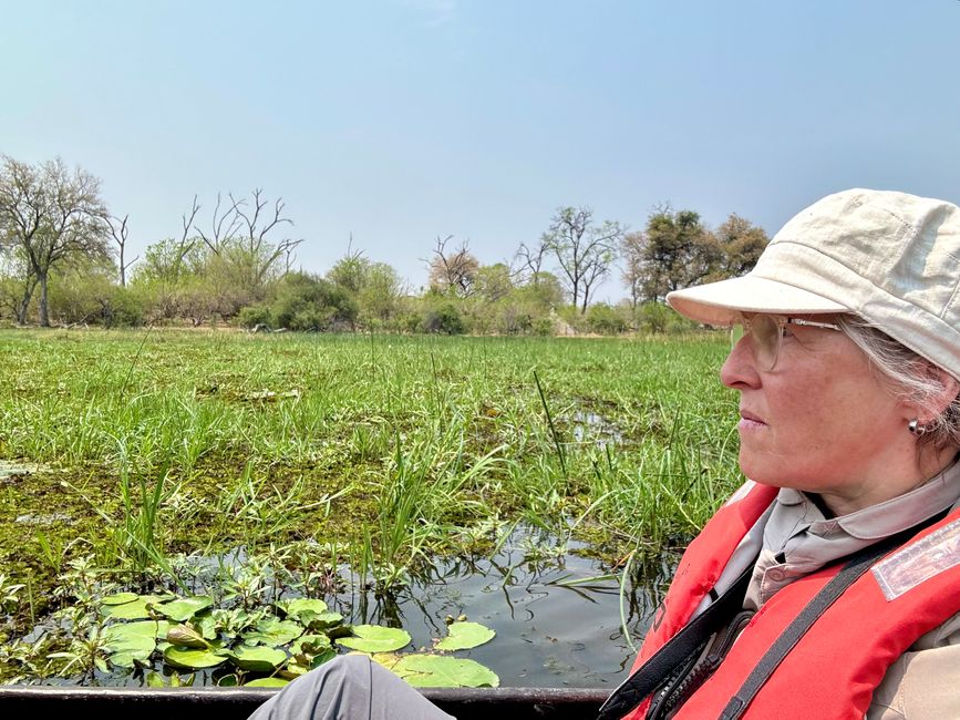 Dusty, Bumpy, Wobbly, from Maun to Greater Moreni Park