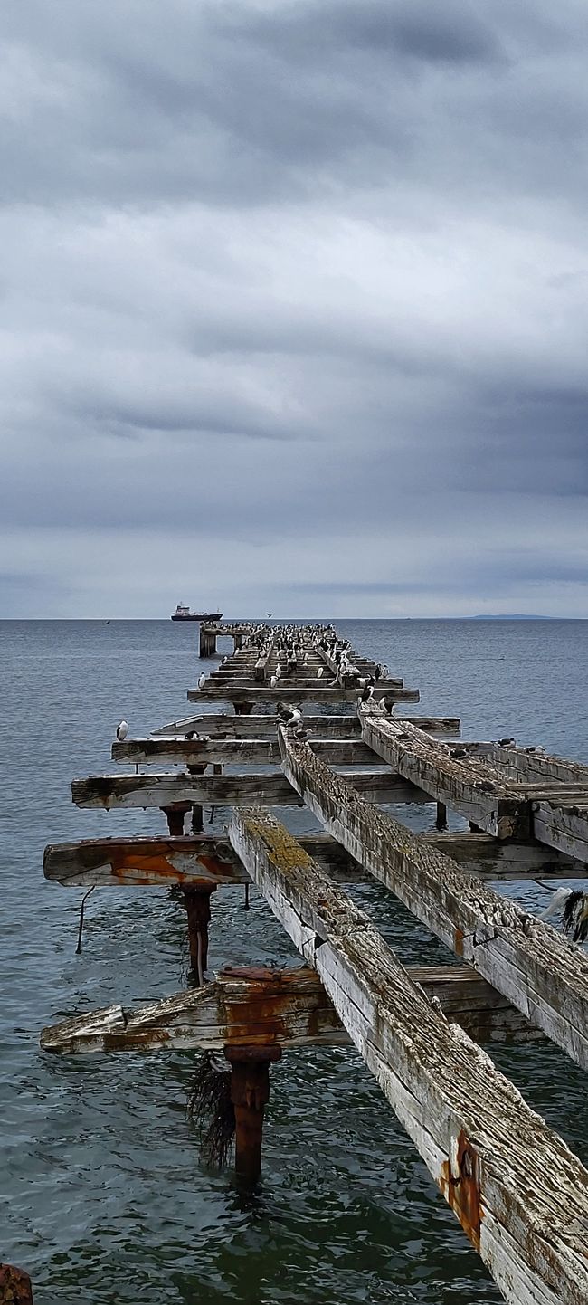 Visite de Punta Arenas