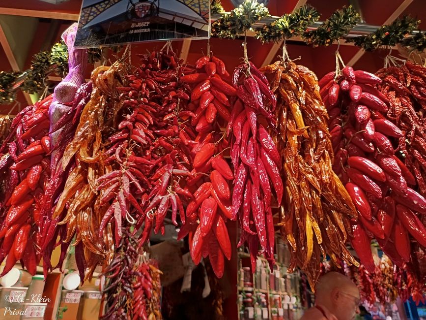 Barcelona Stadt und Strand