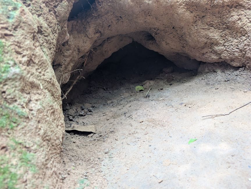 Same country, different taste