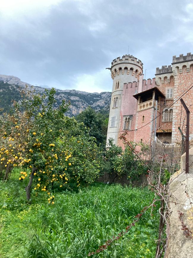 In Soller …finde ich den Mann für‘s Leben