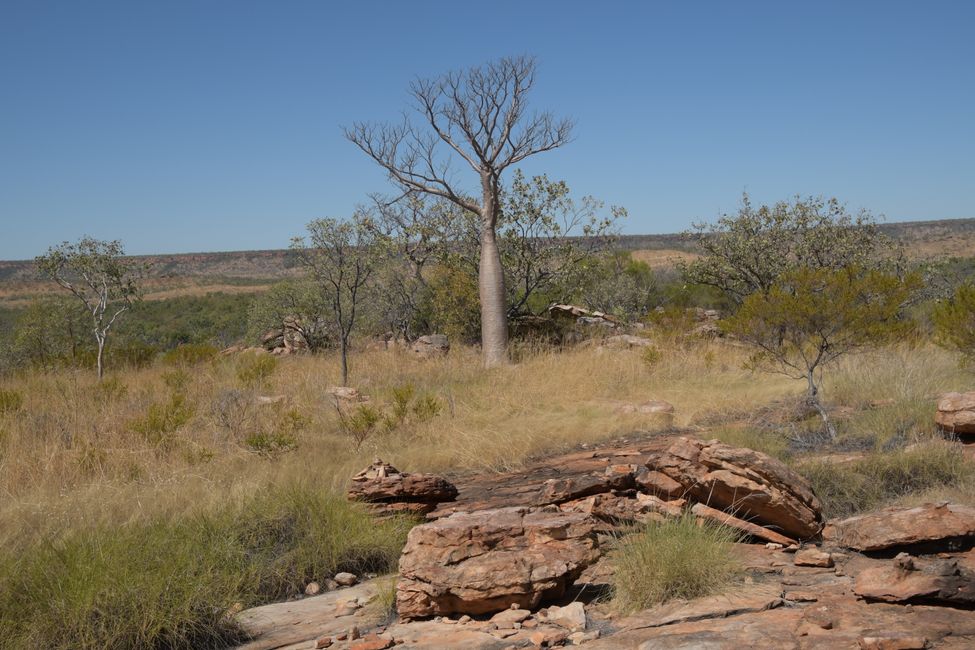 Manning Gorge Trail