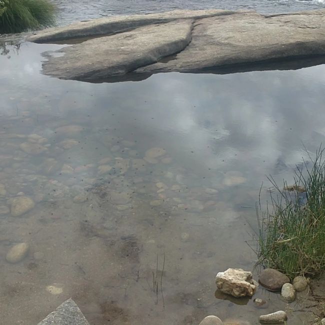 Fotos vom Flussstrand von Puente del Congosto (Salamanca) (Juli 2021)