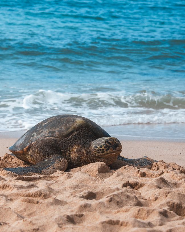 O'ahu, Hawaii