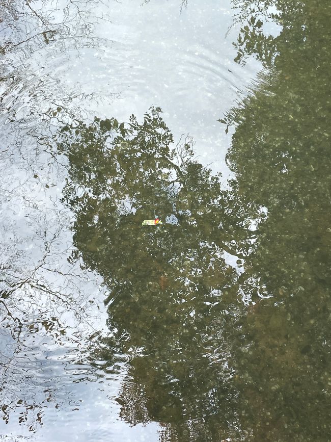 Da schwimmt es!