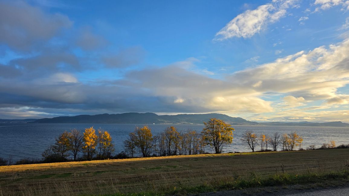 Trondheim 23-30.Oktober 2025/28.Oktober