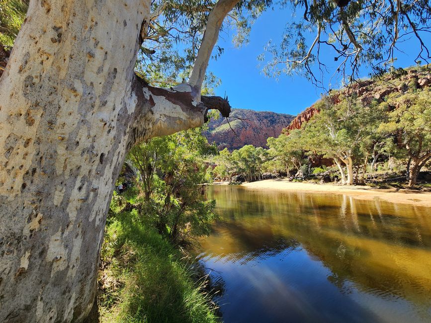 Tag 10, 4. May, Ormiston Gorge im West MacDonnel National Park