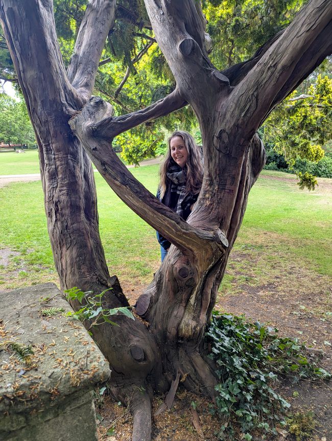 Stratford- upon- Avon- auf den Spuren von Shakespeare