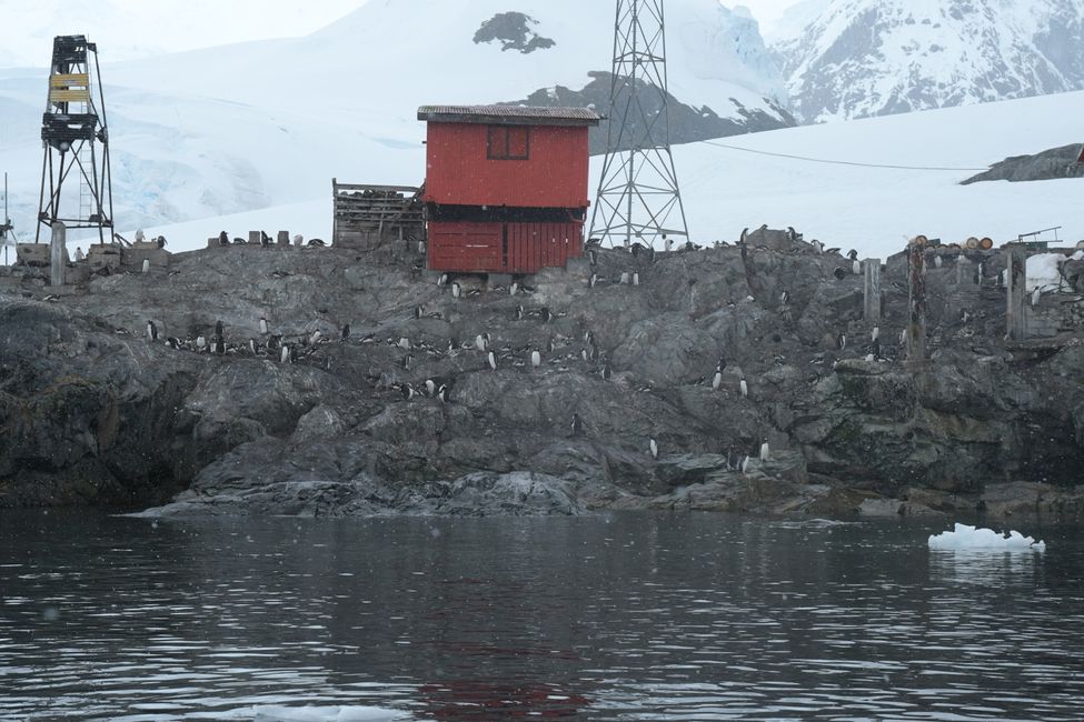 Paradise Bay - Argentinische Forschungsstation / Argentinian Station