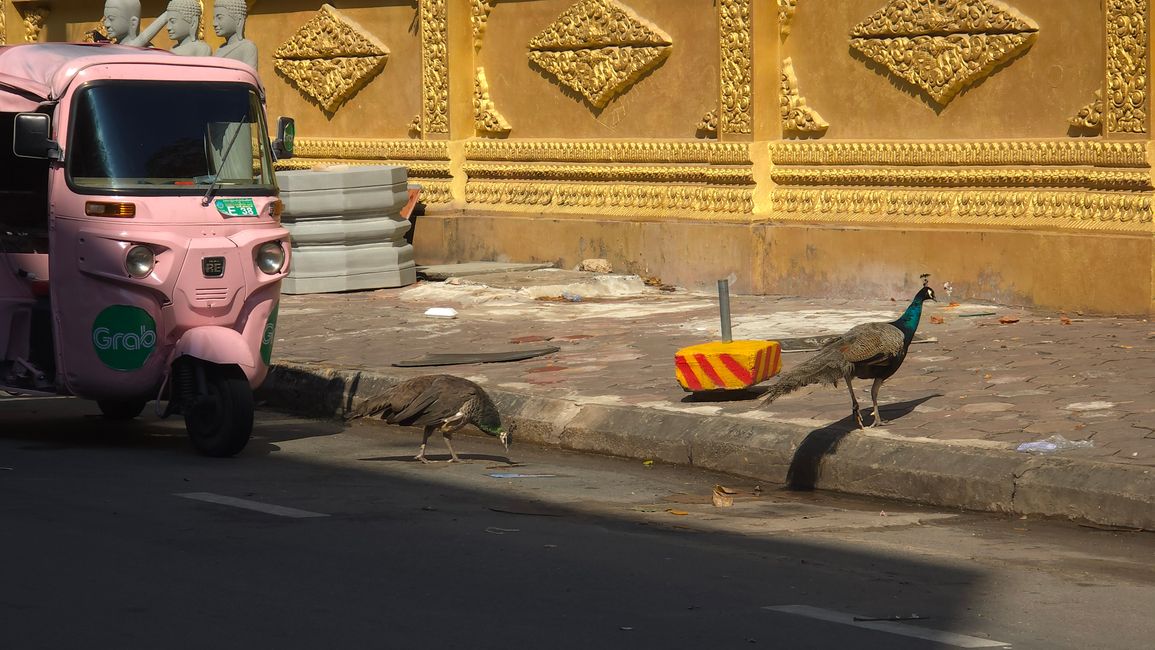 Zentralmarkt Phsar Thmei