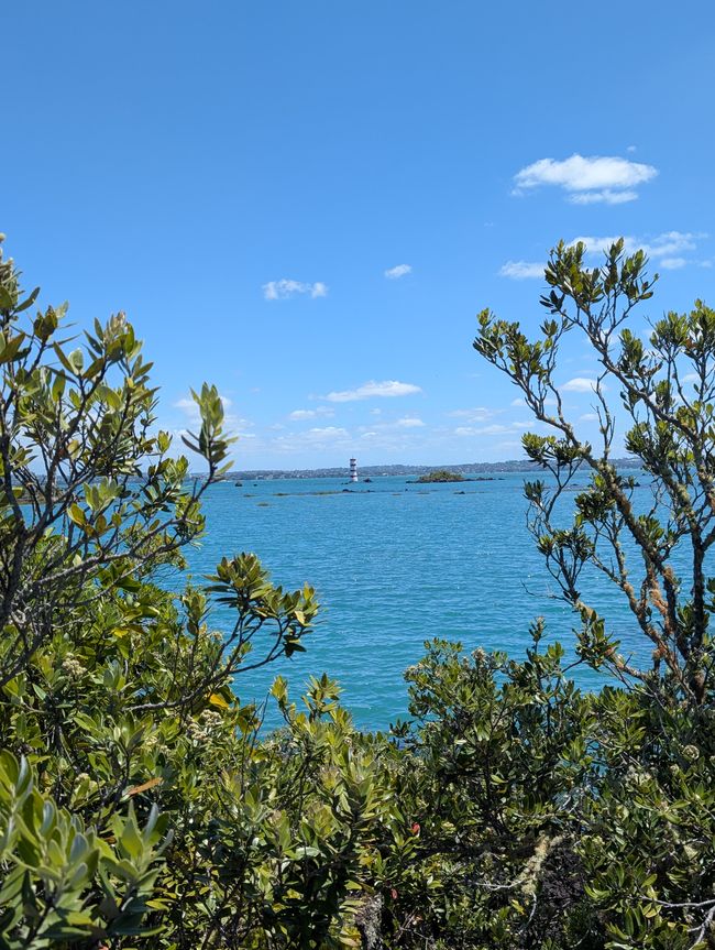 Rangitoto Island - 
Juhu, Achso und AUJA!!!