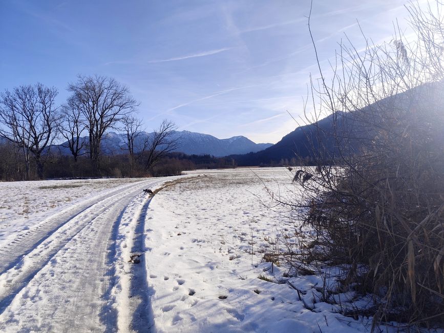 Murnau Moor y Murnau - ¡maravilloso para correr, observar y disfrutar! ¡Libre camino para mí para correr libremente!!! ¡A muy agradables 10 grados PLUS!!