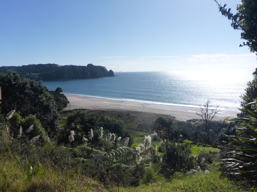 Hot Water Beach vu d'en haut