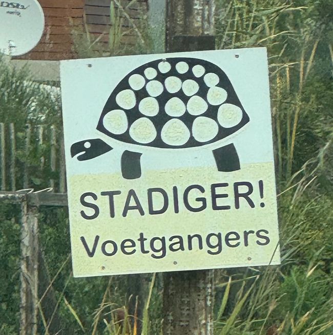 South Africa🇿🇦Week 6