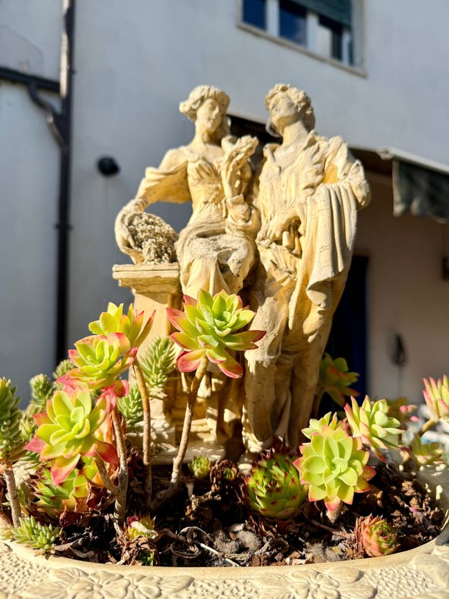 Ein Liebesparr sehnt in einem Blumentopf den nächsten Frühling herbei.