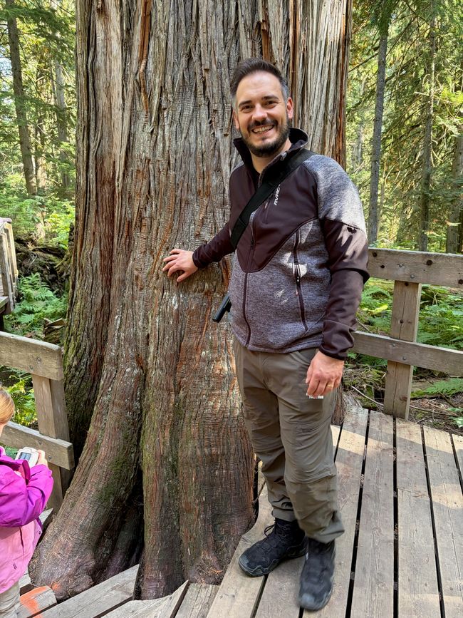 Kanada 8/21 - Revelstoke nach Banff
