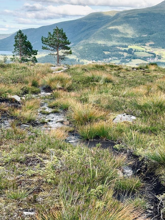 En la pista de los trolls: senderismo en Hustadvika