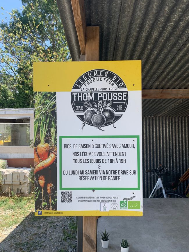 Thom Pousse, Nantes