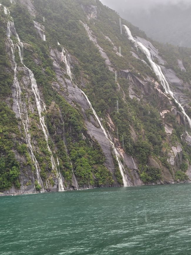 Tag 87: Kreuzen im Milford Sound