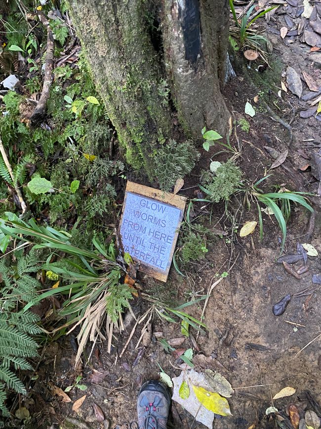 Caminito a la cascada - Camino de las luciérnagas