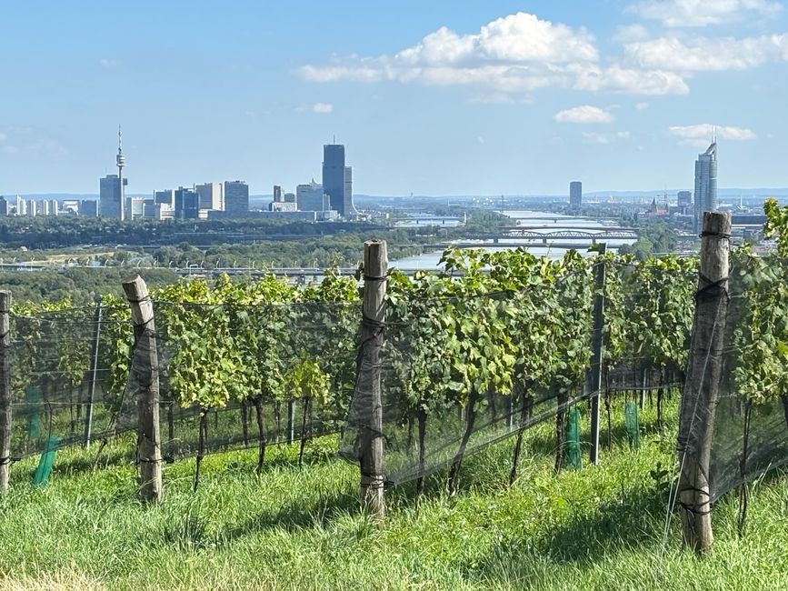 Viena