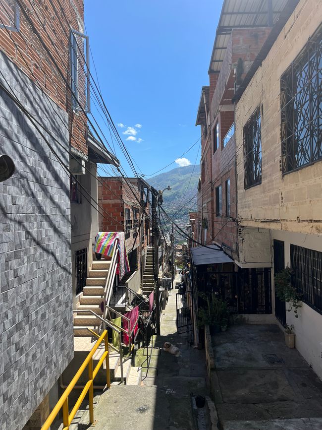 Medellin is a CHIMBA