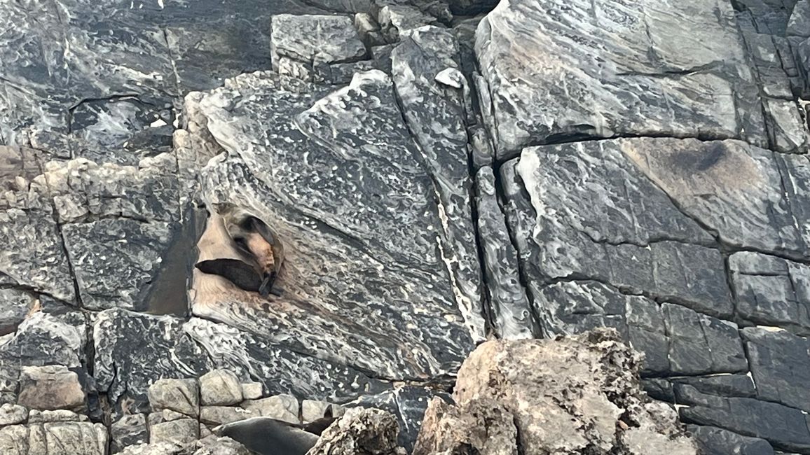 Kangaroo Island