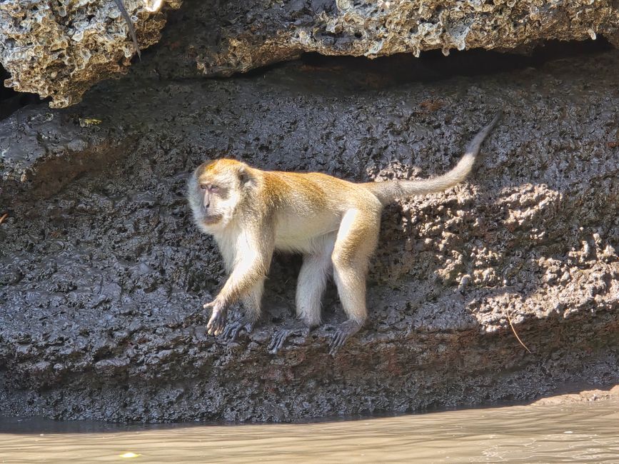 Langkawi - Reif für die Insel!