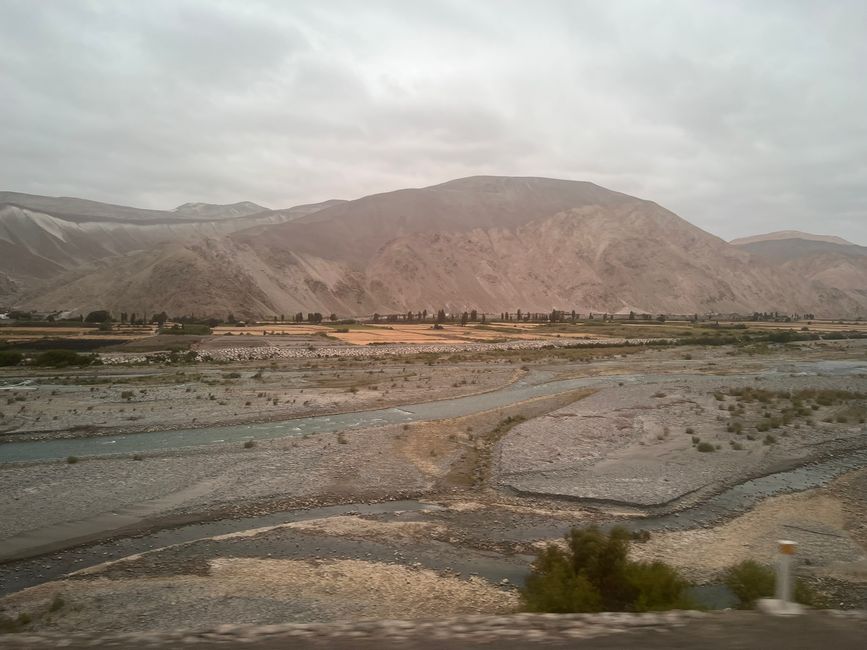 👷♂️Etiqueta 31 (7.11.) 🚌Viaje de Nasca a San Pedro de Atacama