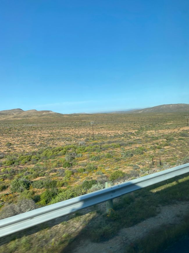 Cabo Norte - Sudáfrica 🇿🇦