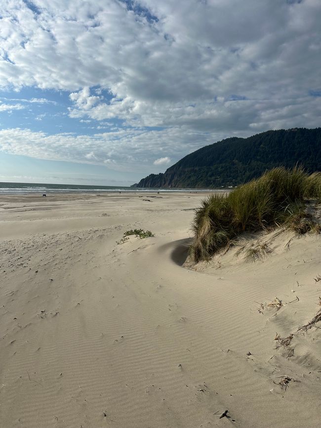 Oregón Playa del Pacífico