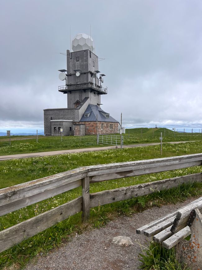 26 Feldbergsteig Escursione Pro Wolermoos