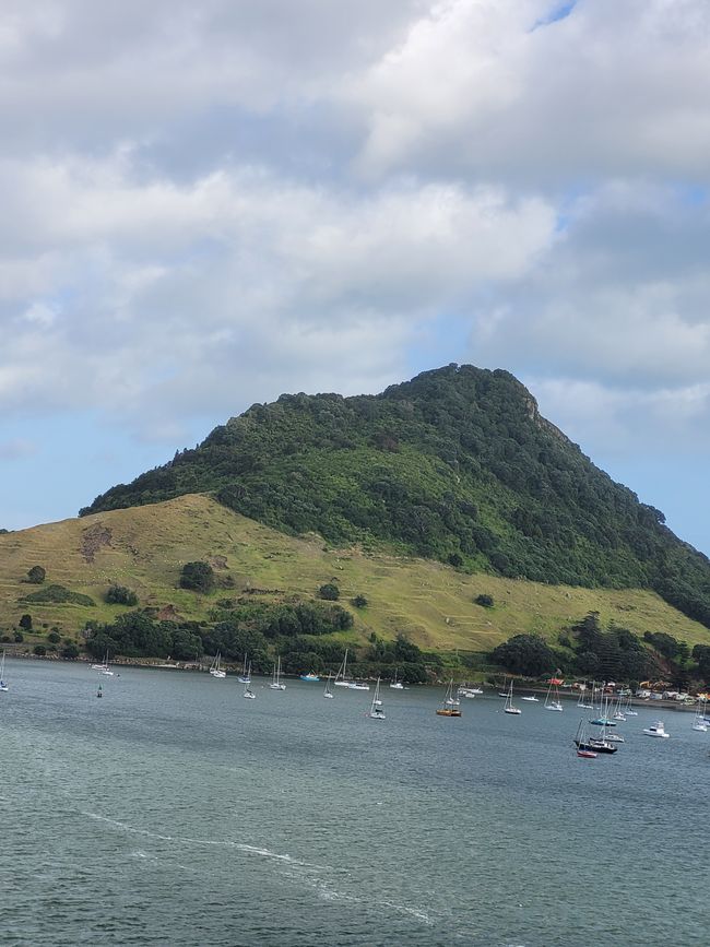 Día 68 de 175: Crucero alrededor del mundo - Tauranga/Nueva Zelanda