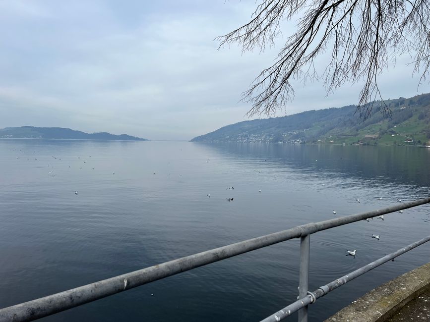 Around the Rigi