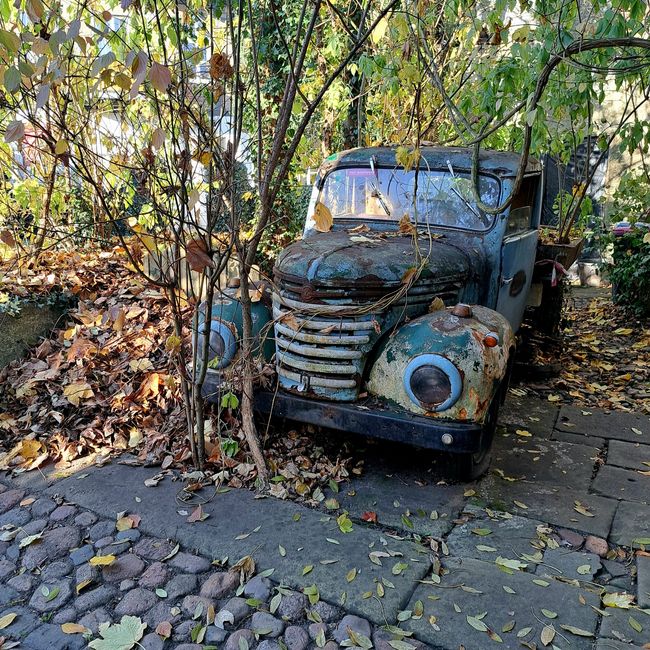 Classic cars in Steinfurt
