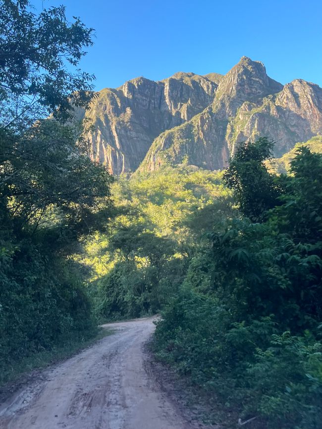 y se refiere a la notable curva de la cordillera en esta región. Las primeras horas fueron un continuo ascenso a través de un paisaje rocoso y colinas verdes, a menudo cruzando el campo con panoramas espectaculares. Después de escalar continuamente por las empinadas laderas, llegamos alrededor de la mañana a un mirador desde donde se tiene una impresionante vista panorámica de 360° sobre el paisaje circundante. Las colinas cercanas con vegetación exuberante parecían no tener fin, y el ojo humano tenía dificultades para escalar la distancia y la altura de las elevaciones debido a su extensión. Sin duda, una vista absolutamente espectacular y un lugar adecuado para un refrigerio. Junto a Elias y Lennart, preparamos una abundante comida a base de galletas, plátanos y pan seco con dulce de leche. ;)</p><figure><img src='https://img1.vakantio.de/uploads/41237566bf1bcfa05cb64c40317d3e62_large.jpg' alt='Rast mit Ausblick' /><figcaption>Rast mit Ausblick</figcaption></figure><p style='color:rgb(0, 0, 0)'>Completamente suficiente por el momento, y tras seguir maravillándonos con la belleza del paisaje, regresamos por otra ruta al jeep, para adentrarnos un poco más en la naturaleza de Samaipata. Tras un corto trayecto, llegamos a la segunda parte de la caminata. Uno se sumerge más en la exuberante naturaleza y el paisaje cambia. El sendero serpentea a lo largo de un río, acompañado por el constante ruido del agua, que tiene un efecto casi meditativo en el entorno tranquilo. El río está rodeado de vegetación tropical y a menudo las plantas y árboles se extienden mucho hacia el sendero mientras constantemente pequeños y grandes cascadas cruzan nuestro camino. Atravesamos el agua en varias ocasiones y la caminata ya no sigue un rastro fijo, sino que se desarrolla más bien por el campo. A lo largo del día, en nuestro pequeño grupo de viaje, mantuvimos conversaciones interesantes, y los dos colegas son realmente personas encantadoras. Elias está haciendo un año sabático en Santa Cruz y trabaja en una institución con niños y adolescentes que han sido rechazados por sus padres y a menudo han sufrido violencia doméstica. ¡Respeto por este compromiso y el coraje de ir a un país tan exótico en sus veintitantos para aportar un valor a la sociedad! Lenni está de visita, y ambos definitivamente tienen muchas ganas de conocer el país y la gente, y seguramente vivirán muchas más aventuras juntos, lejos de casa. </p><p style='color:rgb(0, 0, 0)'>Con los pies mojados y completamente inmersos en la naturaleza circundante, llegamos alrededor de las 14:00 a una meseta rocosa y decidimos hacer una corta siesta. Maravilloso, cerrando los ojos y lo único que te rodea es la belleza de la naturaleza. Sin pensamientos sobre estrés cotidiano, ninguna ira - solo la paz del paisaje, el canto de los pájaros y algunas mariposas – así se puede soportar.</p><p style='color:rgb(0, 0, 0)'>Después del descanso, la caminata continuó por un bosque que se iba volviendo más denso y suaves ascensos. El camino comienza a retorcerse de nuevo suavemente hacia arriba y deja el valle, y lentamente el ruido del agua se desvanece de nuestros oídos. De vez en cuando, la vegetación se abre y se pueden nuevamente aprovechar algunas vistas hermosas de las colinas circundantes. El sendero es variado y el terreno cambia de un suave suelo de bosque, pasando por rocas y raíces que a veces aparecen como escaleras naturales. El resto de la caminata es un constante subir y bajar, acompañado por un agradable silencio. En la tarde, regresamos al vehículo y en la plataforma trasera, volvemos al pueblo. En el camino, nos sacudimos bastante en el terreno accidentado antes de llegar a Samaipata justo antes de que caiga la noche.</p><figure><img src='https://img1.vakantio.de/uploads/73d798dda81ca0692078cbadd49e6c29_large.jpg' alt='Auf dem Rückweg ' /><figcaption>Auf dem Rückweg </figcaption></figure><p style='color:rgb(0, 0, 0)'>Tres juntos nos asentamos por la noche en la terraza de una pequeña y acogedora barra y hablamos sobre las impresiones de este hermoso día mientras tomamos algunas cervezas. </p><p style='color:rgb(0, 0, 0)'>Grandes partes de la caminata de hoy nos llevaron a lo largo de la 