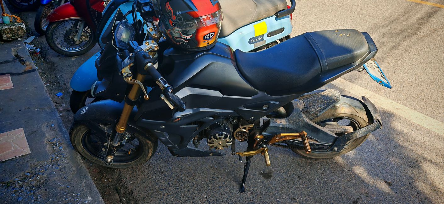 Aufgemotzte Honda MSX. Sieht schon nice aus...