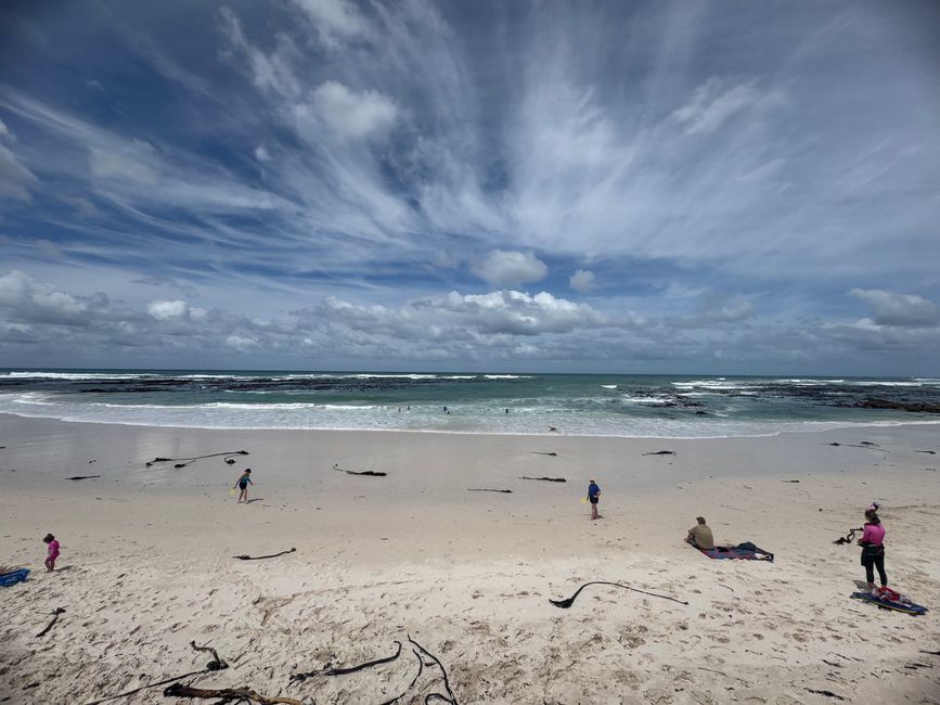 Kap Agulhas/Struisbaai