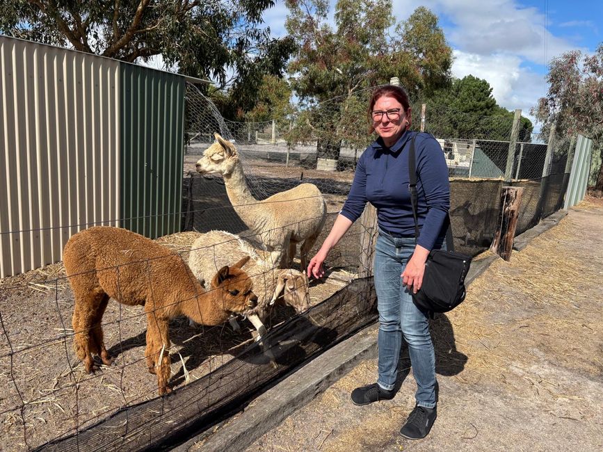 Parc des oiseaux et des animaux d'Esperance