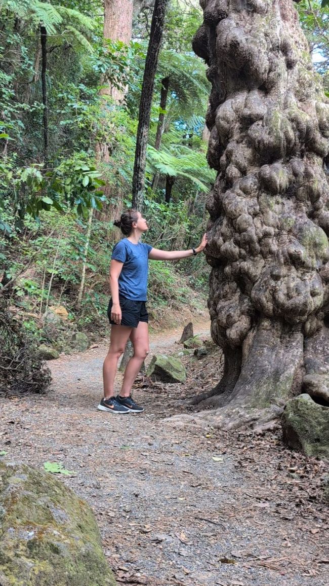 A rainbow doesn't choose to be a rainbow...