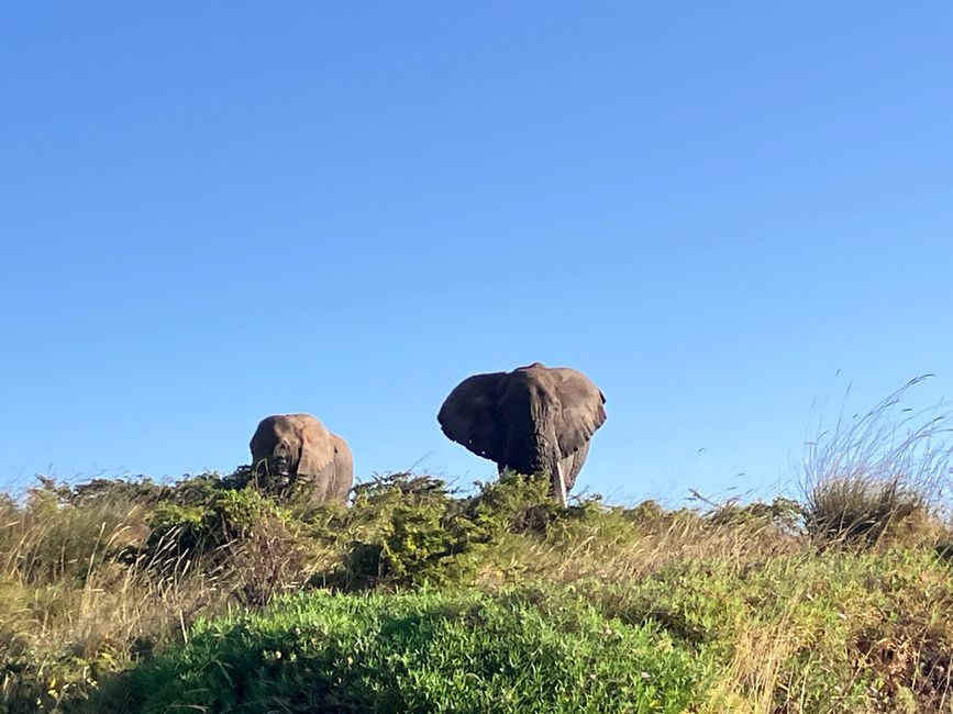 Il Cratere di Ngorongoro
