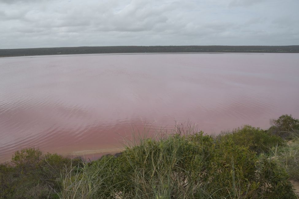 Kalbarri NP - Pink Lake