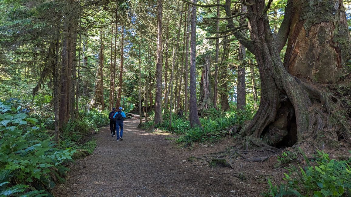 Day 7: Pacific Rim NP - Ucluelet - Tofino