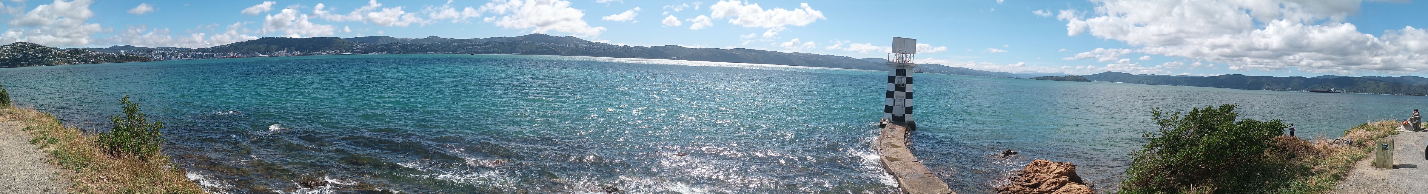 2025-03-25 NZ, l'Isola del Nord, Wellington