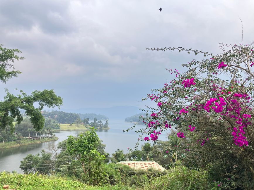 Lago Bunyonyi