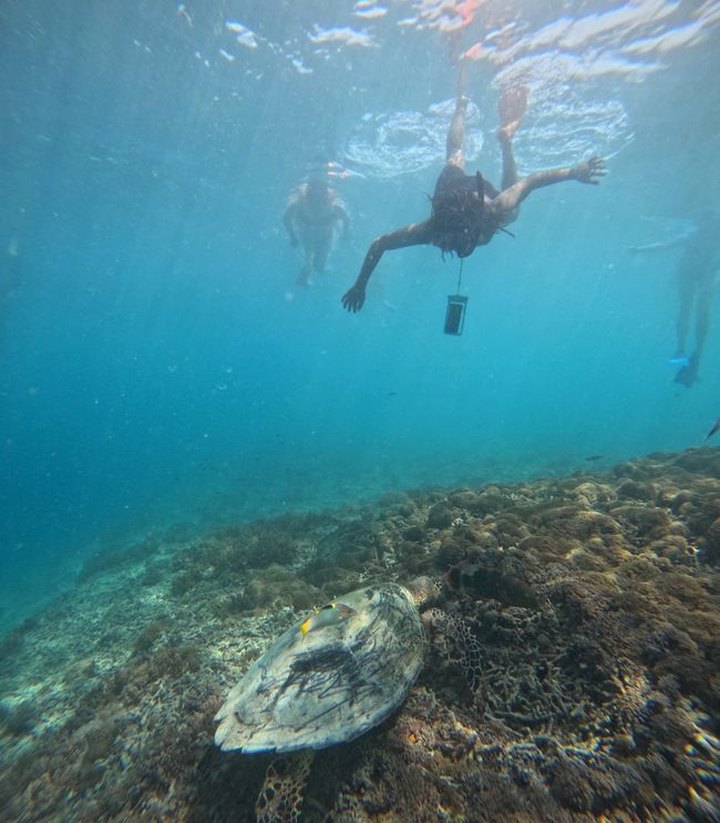 Gili Trawangan