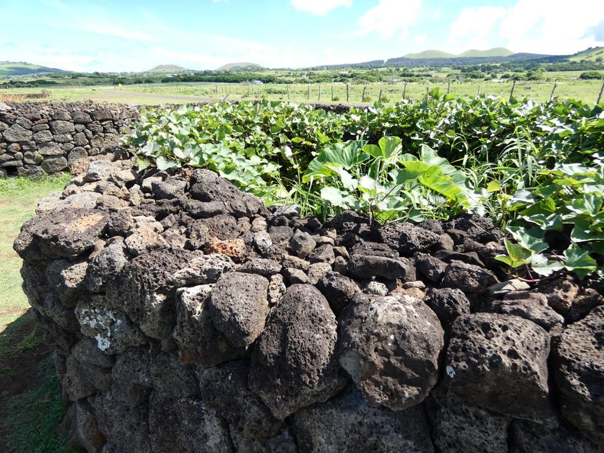 Isla de Pascua, día 1