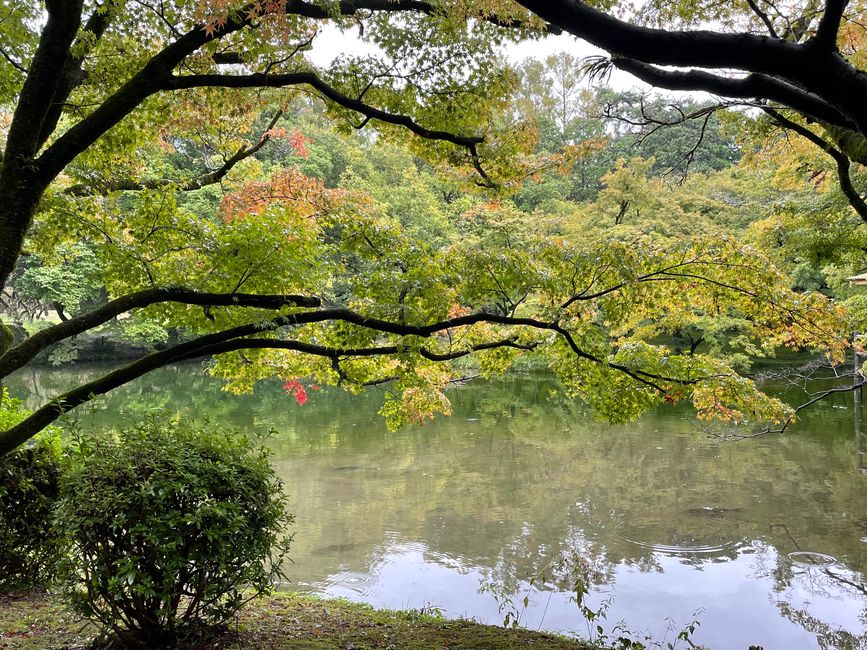 Kyoto Botanical Garden