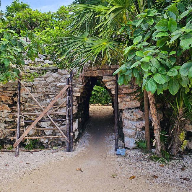 Tulum, Coba and Cenote