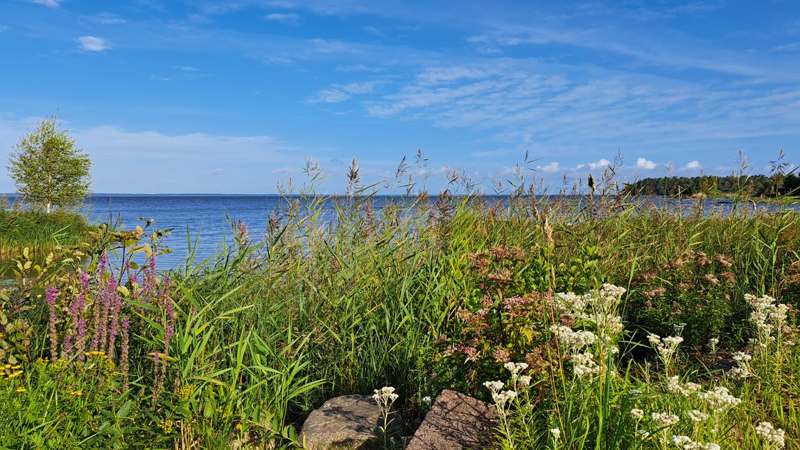 Another lake view